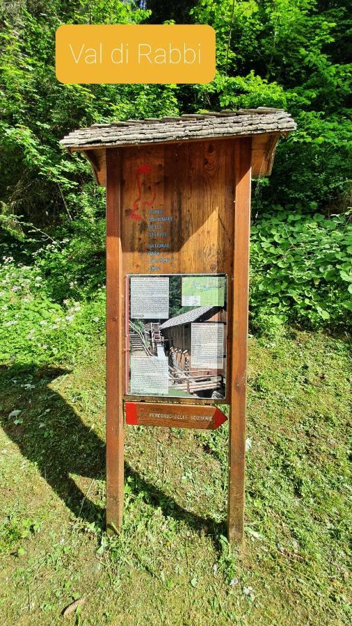 Marmot Apartment Dimaro Exteriör bild